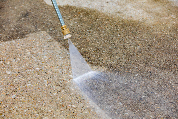 Best Gutter Cleaning  in Port Norris, NJ