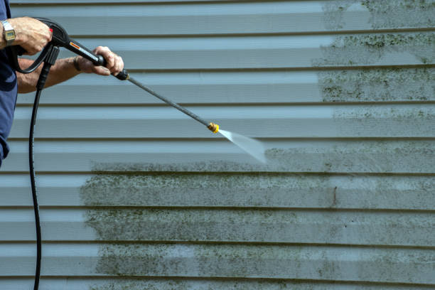 Best Solar Panel Cleaning  in Port Norris, NJ