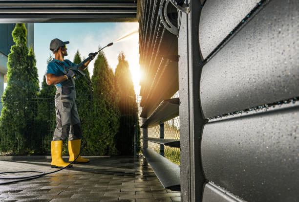 Best Graffiti Removal  in Port Norris, NJ